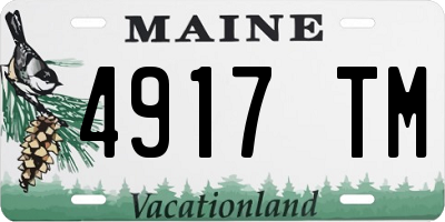 ME license plate 4917TM