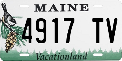 ME license plate 4917TV