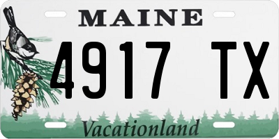 ME license plate 4917TX
