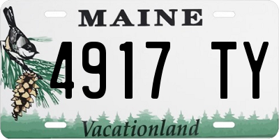 ME license plate 4917TY
