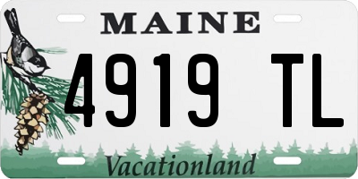 ME license plate 4919TL