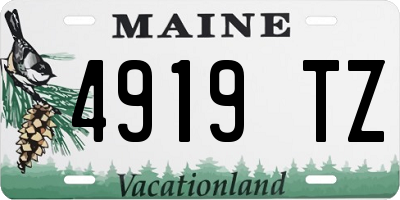 ME license plate 4919TZ