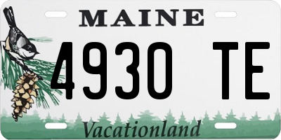 ME license plate 4930TE
