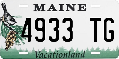 ME license plate 4933TG