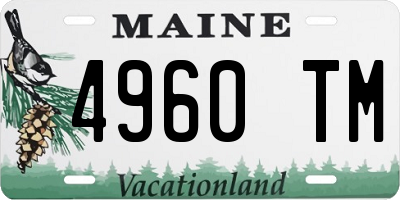 ME license plate 4960TM