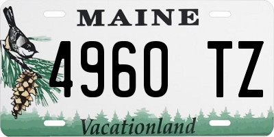 ME license plate 4960TZ