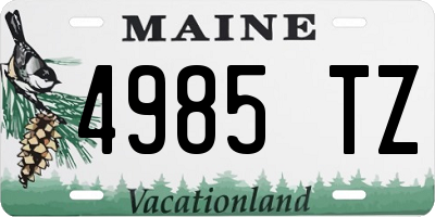 ME license plate 4985TZ