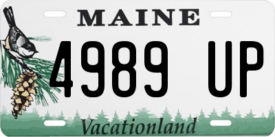 ME license plate 4989UP