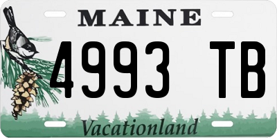 ME license plate 4993TB
