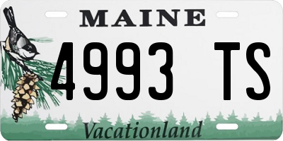 ME license plate 4993TS