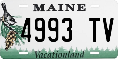 ME license plate 4993TV
