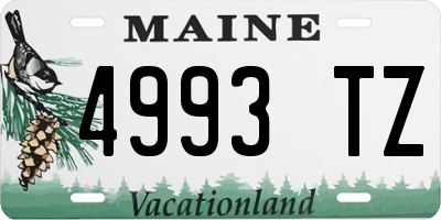 ME license plate 4993TZ