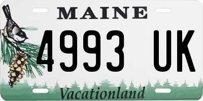 ME license plate 4993UK