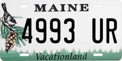 ME license plate 4993UR