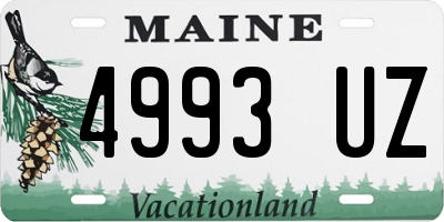 ME license plate 4993UZ