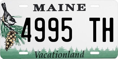 ME license plate 4995TH