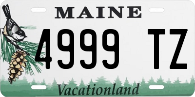 ME license plate 4999TZ