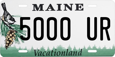 ME license plate 5000UR