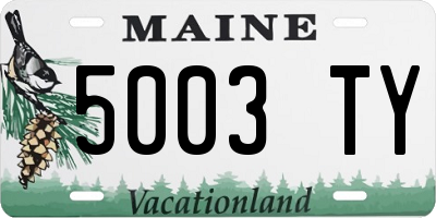 ME license plate 5003TY