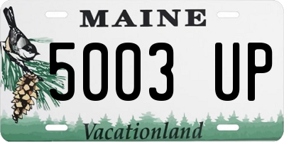 ME license plate 5003UP