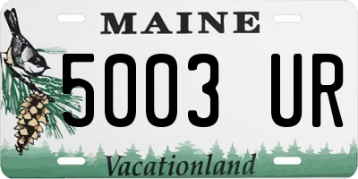 ME license plate 5003UR