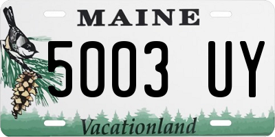 ME license plate 5003UY