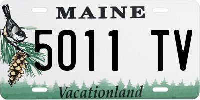 ME license plate 5011TV