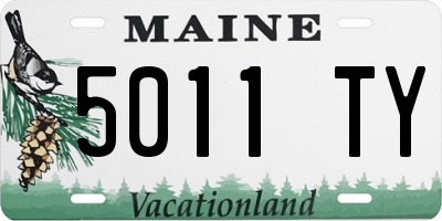 ME license plate 5011TY