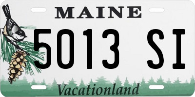 ME license plate 5013SI