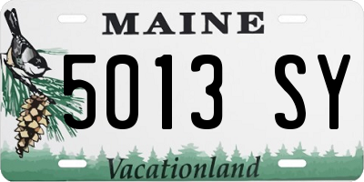 ME license plate 5013SY