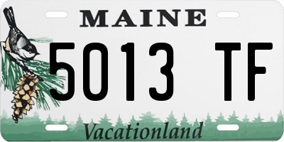 ME license plate 5013TF