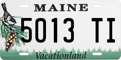 ME license plate 5013TI