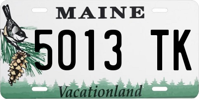 ME license plate 5013TK