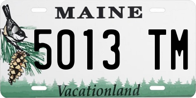 ME license plate 5013TM