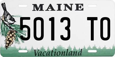ME license plate 5013TO
