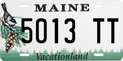 ME license plate 5013TT