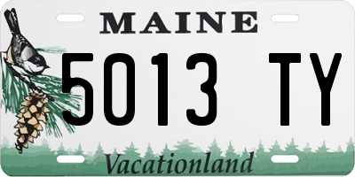 ME license plate 5013TY