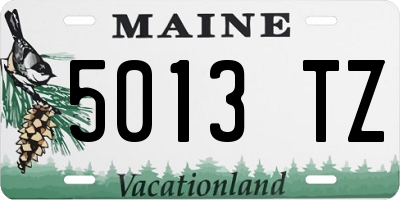 ME license plate 5013TZ