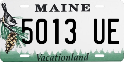 ME license plate 5013UE