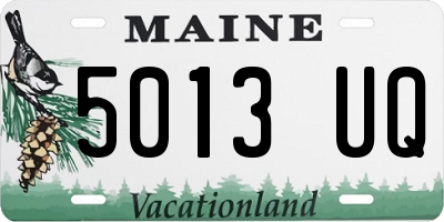 ME license plate 5013UQ