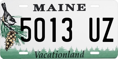 ME license plate 5013UZ