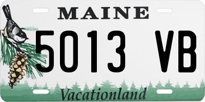 ME license plate 5013VB