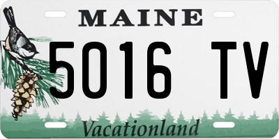 ME license plate 5016TV