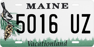 ME license plate 5016UZ
