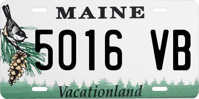 ME license plate 5016VB