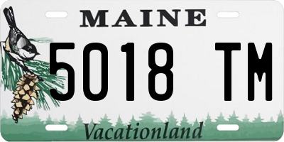 ME license plate 5018TM