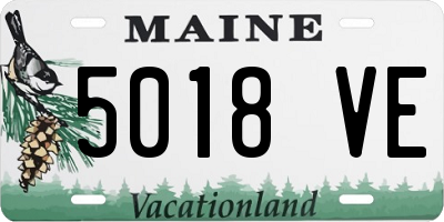 ME license plate 5018VE