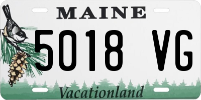 ME license plate 5018VG