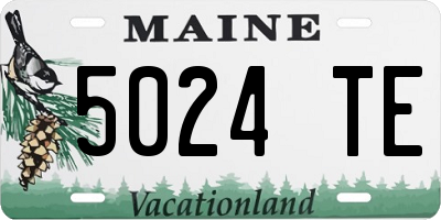 ME license plate 5024TE
