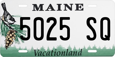 ME license plate 5025SQ